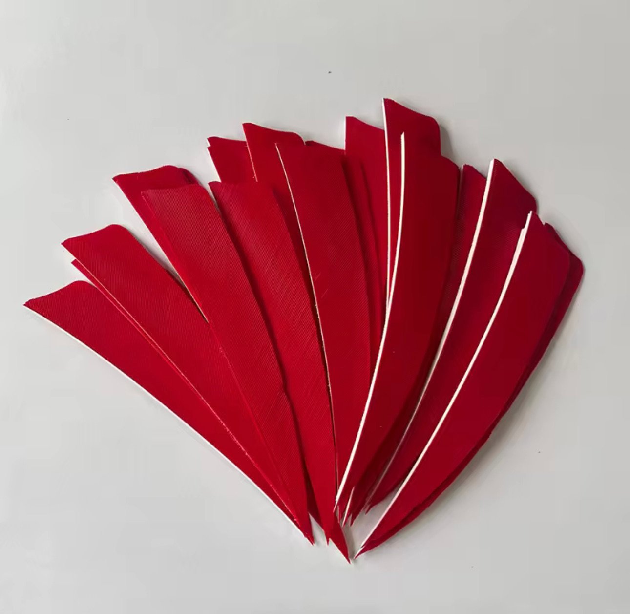 4" Natural Feather Fletchings – Pack of 12 – product image 6