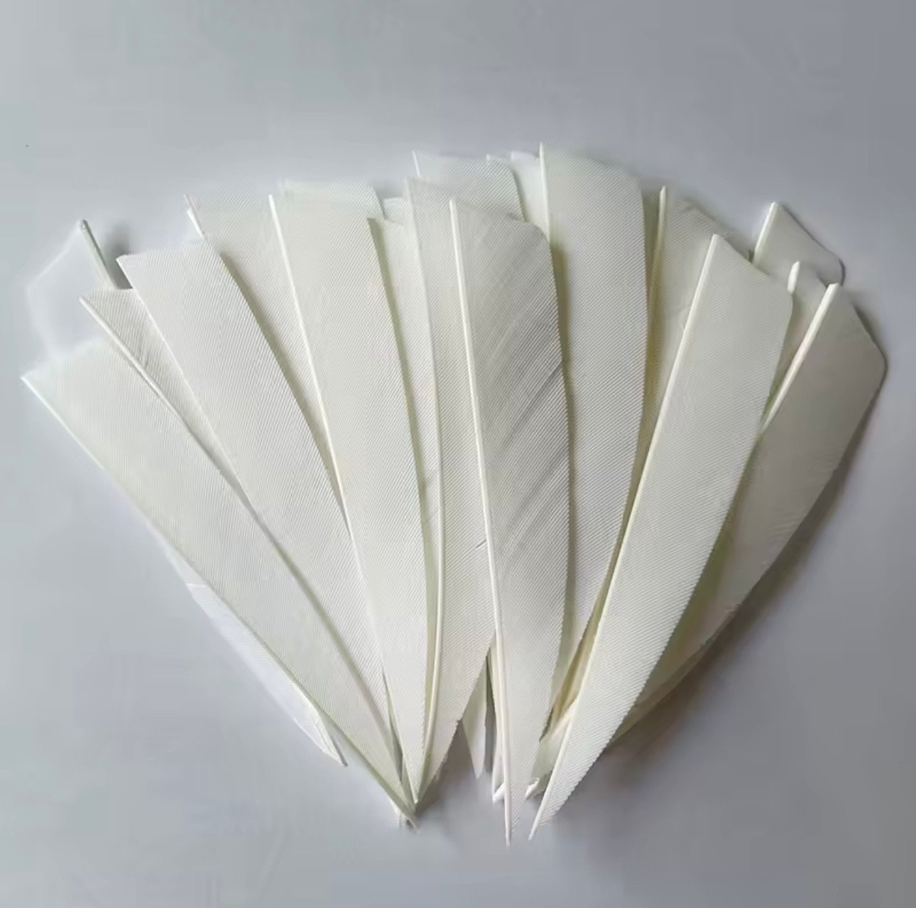 4" Natural Feather Fletchings – Pack of 12 – product image 3