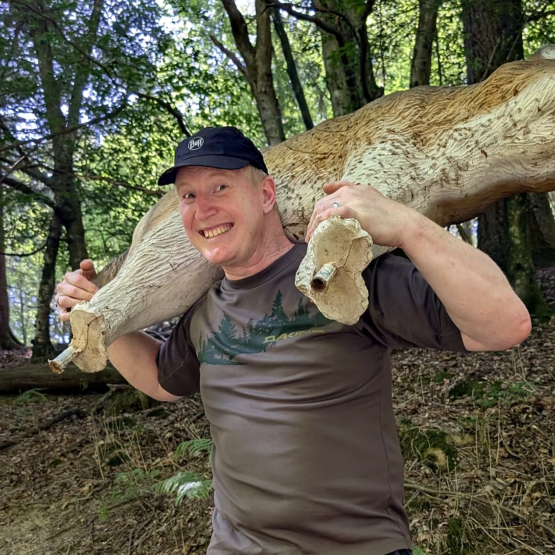 Person carrying a 3D archery target through woodland